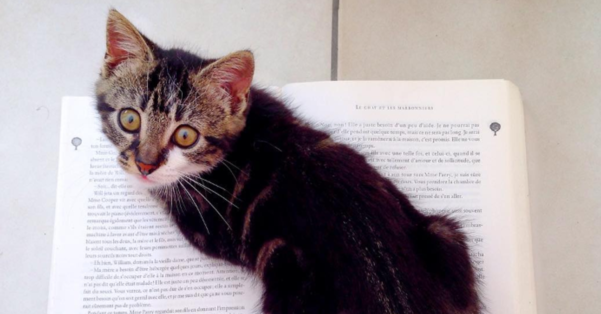 Freedom, at the end of the world