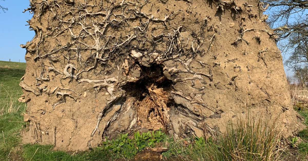When the world "collapses"