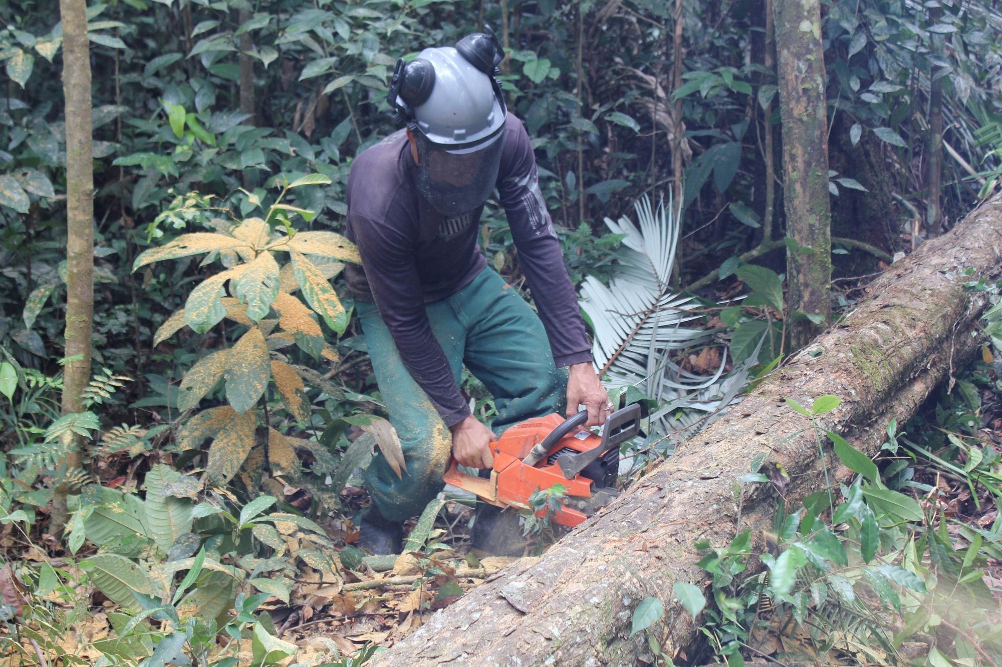 A World Without Choice