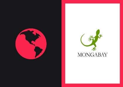 Analysts point to logging and mining to explain Solomon Islands unrest