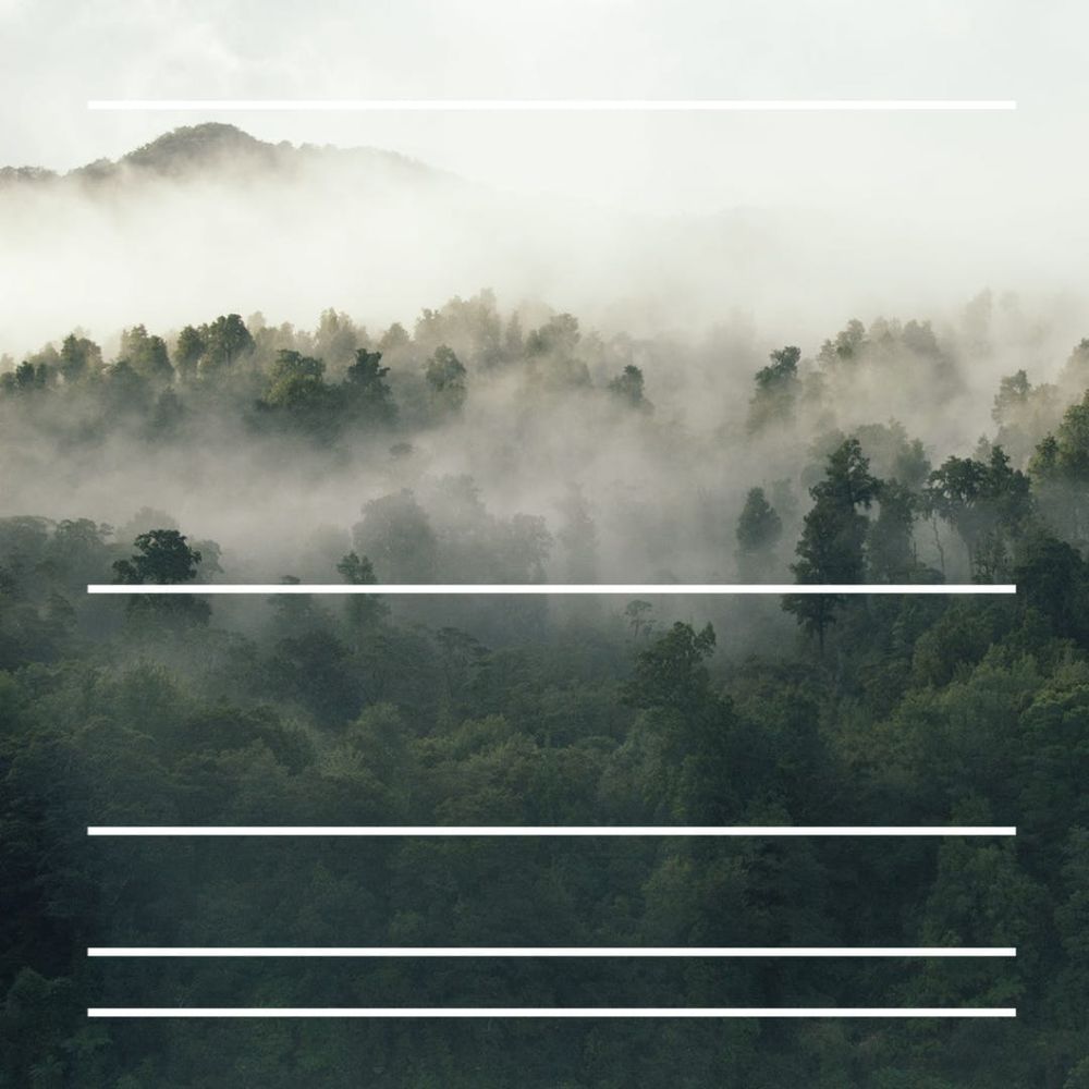 Trees may be green—but paper isn't post image