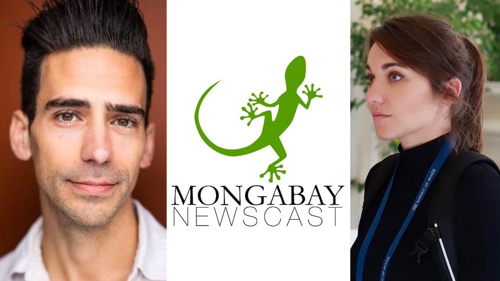 Mongabay: Climate loss & damage fund ‘the furthest thing imaginable from a success’  post image