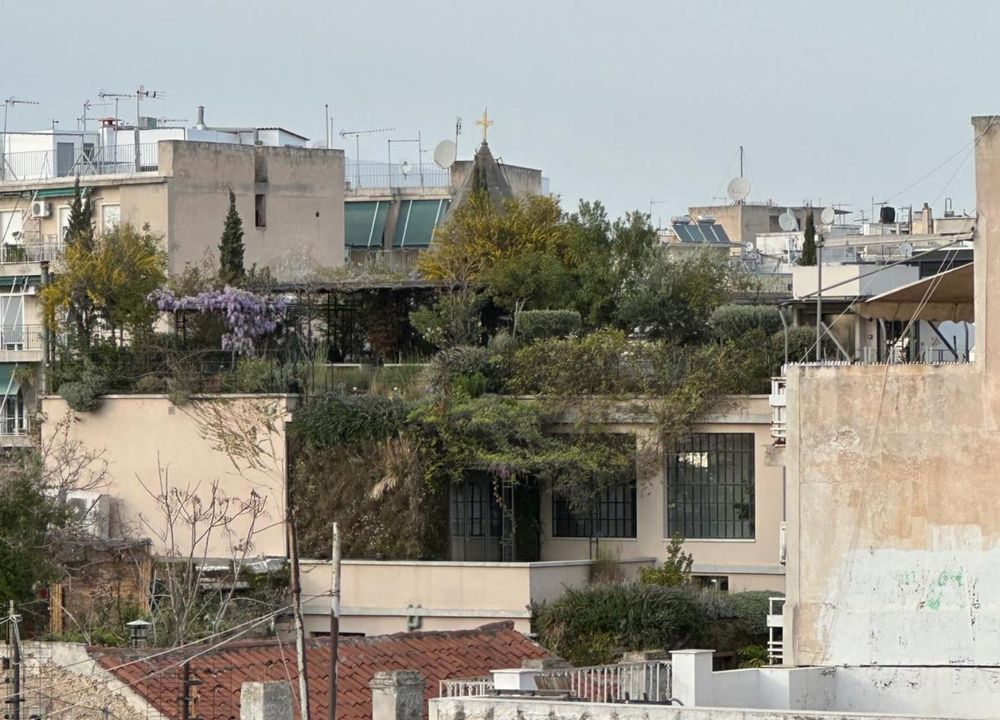 Rewilding the Commons post image