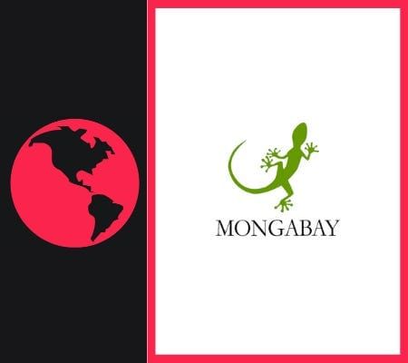 Tiger habitat threatened by Malaysian royals’ mining plans  post image