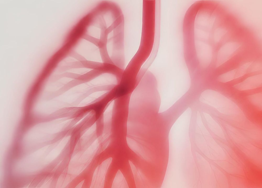 The Holy Trinity post image