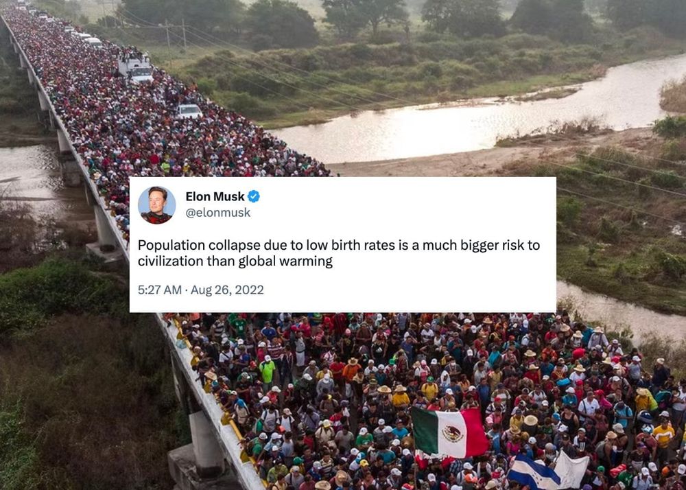 The Elite Are Panic-Breeding White Babies post image