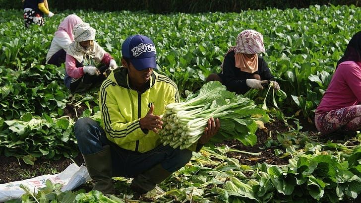 The Right To Develop Food Security post image