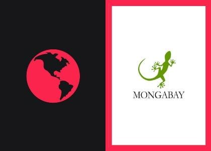 Governor rails against ‘bioterrorists,’ ‘carbon cowboys’ destroying PNG’s forests  post image