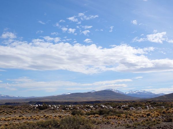 Finding faith in the ecological post image