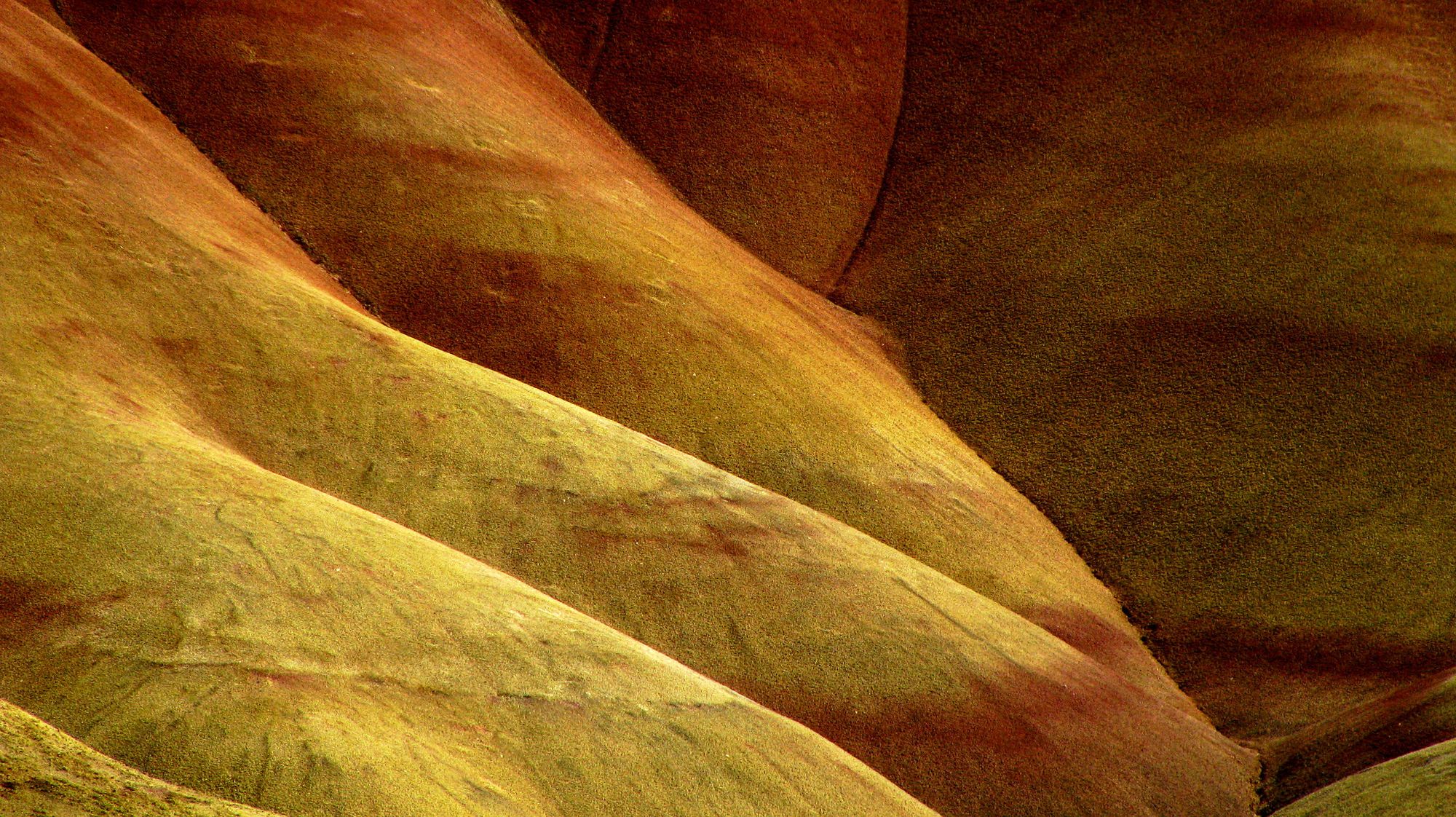 15200554981_dc9575d57f_k