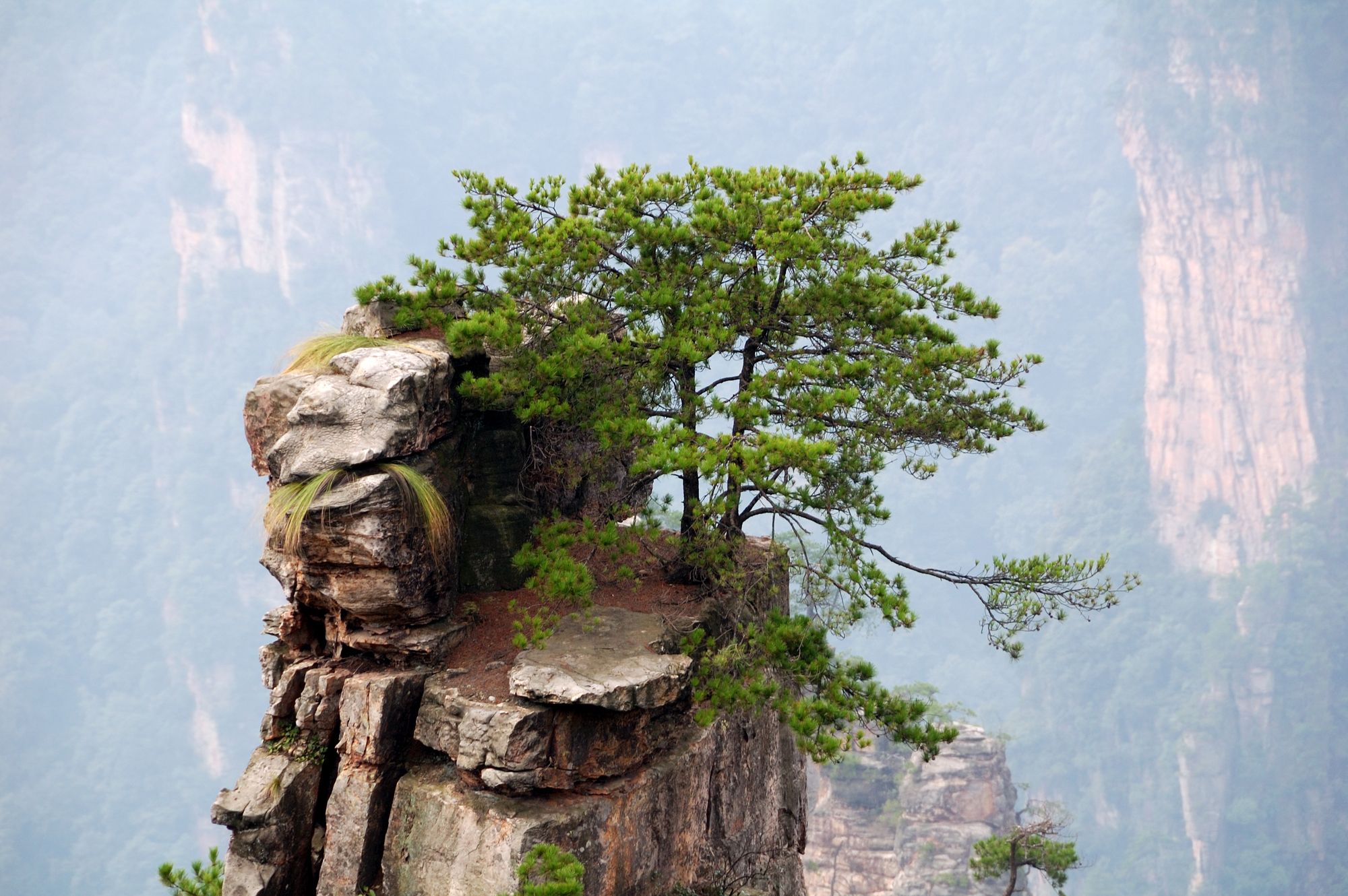 2865626098_2424580e1a_o