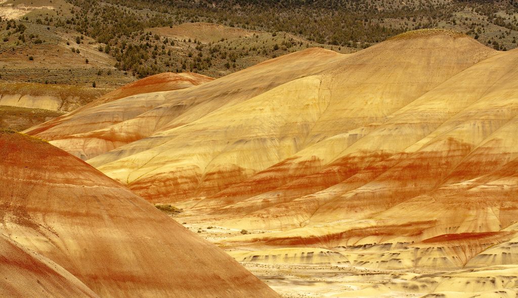 4618835249_4b43212d61_b