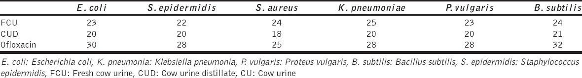 Cow Urine
