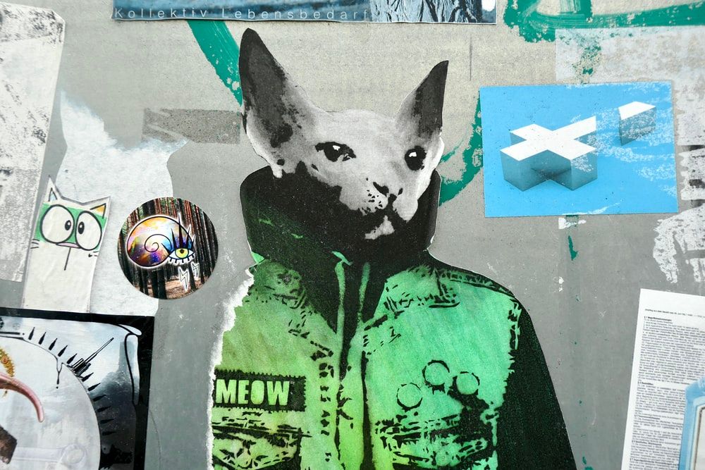 black and white cow wearing green and black jacket