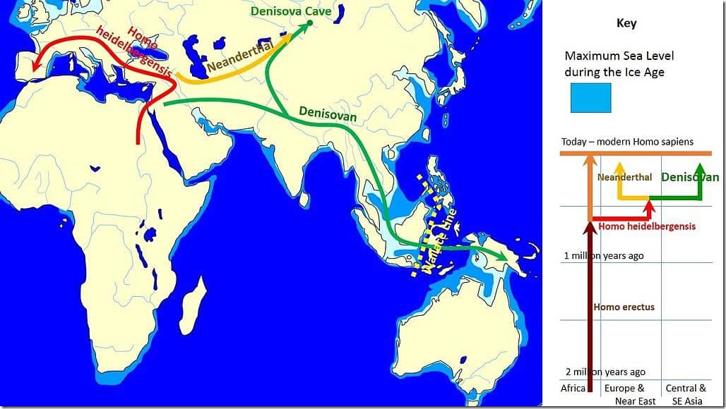 Spread_and_evolution_of_Denisovans Spread_and_evolution_of_Denisovans