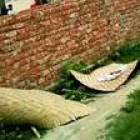 Muslim fanatics 'dig up three-day-old girl's body from cemetery