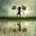 Virtual Water Trade: Complete Guide on What it is and its impact