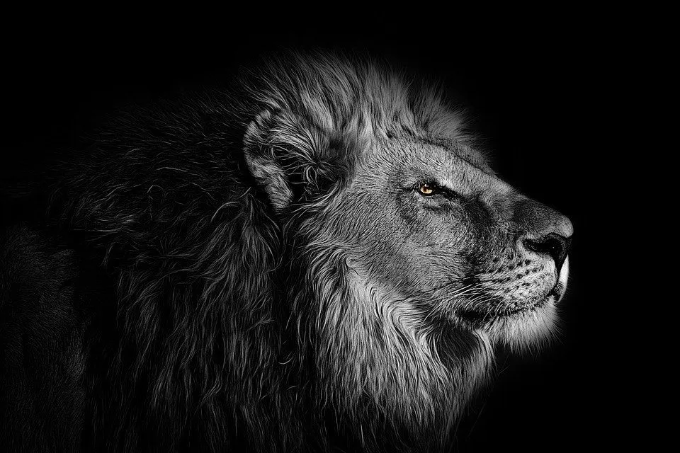 Insightful newsletter of Drishtikone: Issue #295 - Burden of Manufactured Greatness