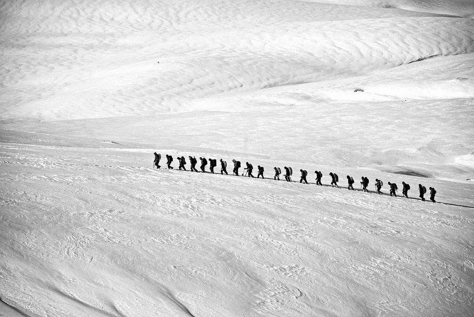 Insightful newsletter of Drishtikone: Issue #250 - The Crying Lambs