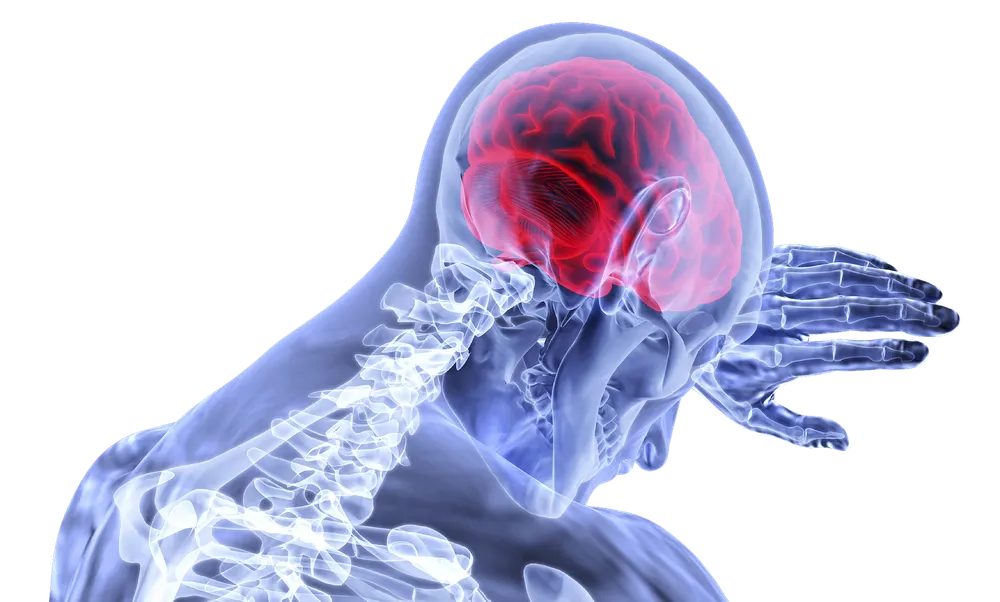 How the Human Brain Fights Fear