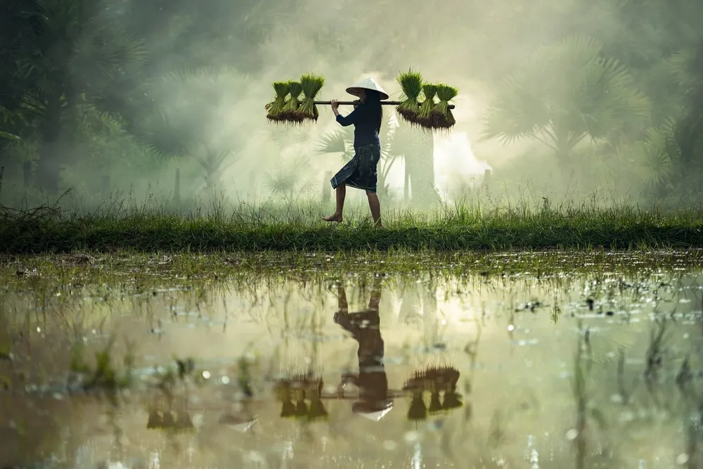Virtual Water Trade: Complete Guide on What it is and its impact