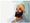 Insightful newsletter of Drishtikone: Issue #233 - Khalsa and India