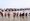 Prayagraj Kumbh: a Photo Feature from Mauni Amavasya