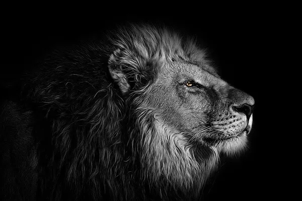 Insightful newsletter of Drishtikone: Issue #295 - Burden of Manufactured Greatness