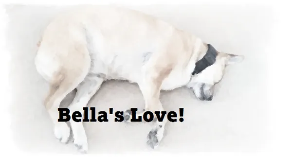 When Bella made it all look fine