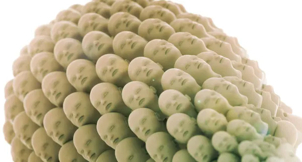 The New Chinese-American War of Designer Humans