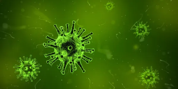 Bacteria may be transmitted over thousands of miles by air!