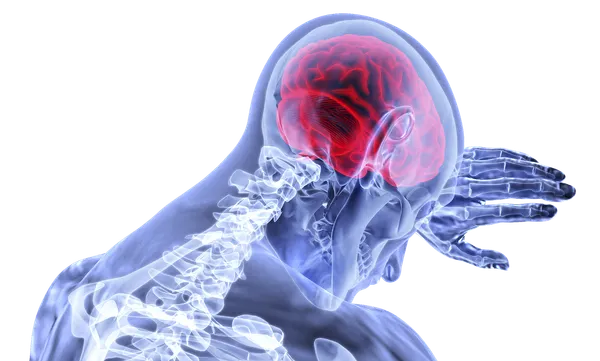How the Human Brain Fights Fear