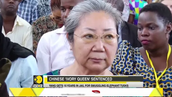 WION Speed News: Watch top national and international news of the morning – 20 February 2019