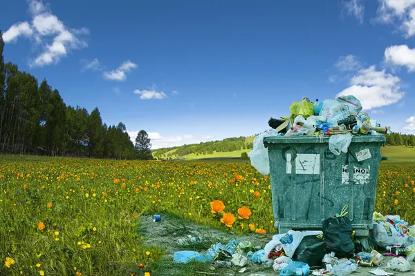 IIT researchers find an eco-friendly way to degrade plastics