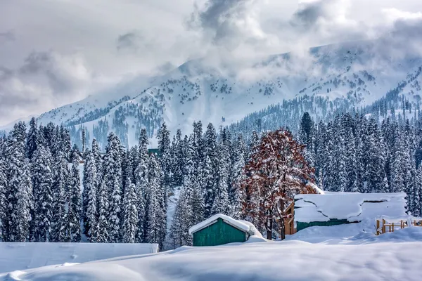 Peace and Record Tourism in Kashmir after Article 370 Abrogation