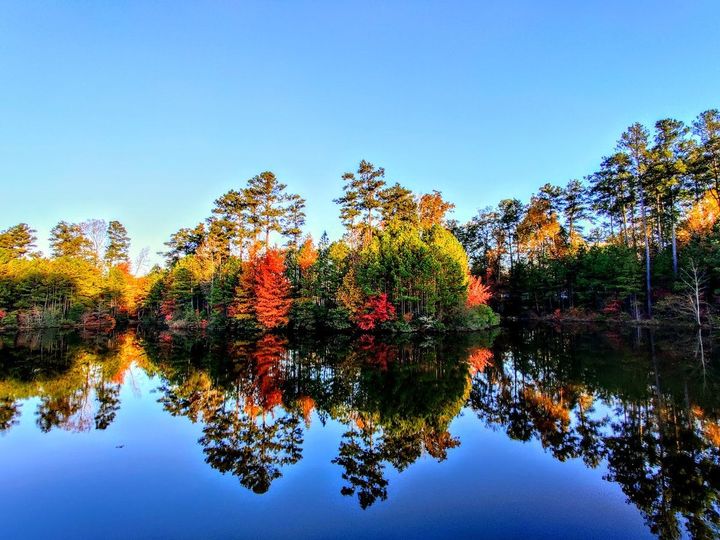 Insightful newsletter of Drishtikone: Issue #329 - Surveillance Capitalism or Colonialism