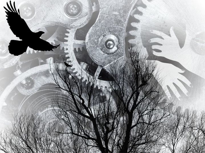 Insightful newsletter of Drishtikone: Issue #318 - An Unending Betrayal of the Afghan