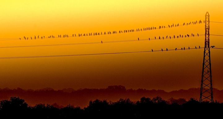 Insightful newsletter of Drishtikone: Issue #106 - Slumdog Millionaire and 'Mother Teresa'