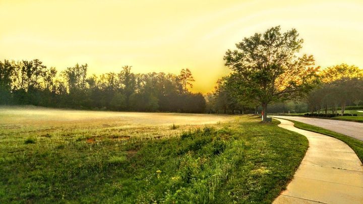 Insightful newsletter of Drishtikone: Issue #131 - Constitution and Conversions; Woke Rapist-Feminists