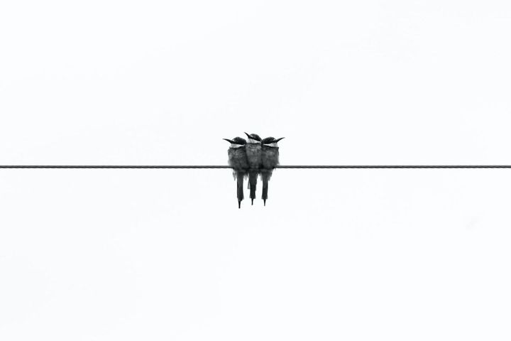 Insightful newsletter of Drishtikone: Issue #111 - Tell-tale Graves and Circle of Missiles