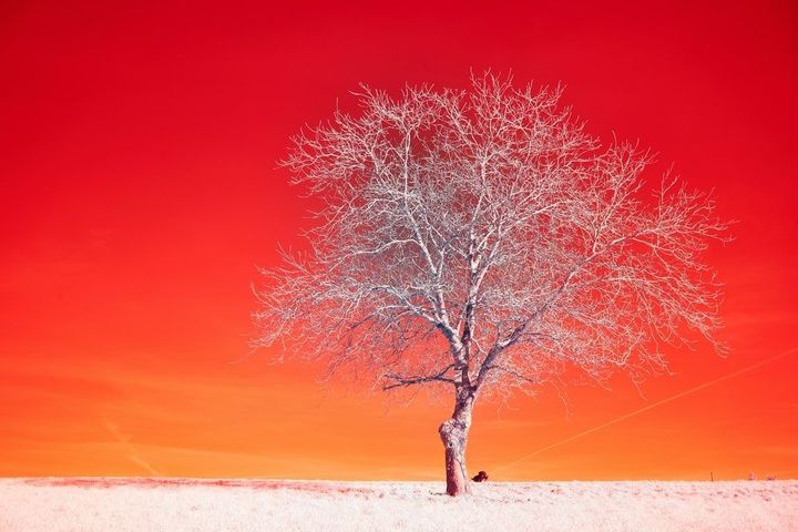 Insightful newsletter of Drishtikone: Issue #284 - The Violence of the Islamist Mobs