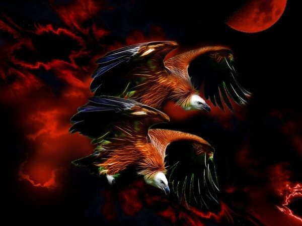 Insightful newsletter of Drishtikone - Issue #101: Palghar Sadhu murdered and Witch Burnings; Pedophile Island of Liberals