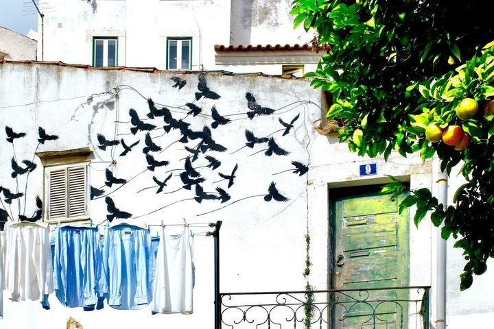 Insightful newsletter of Drishtikone: Issue #212 - Rule of the Obnoxious