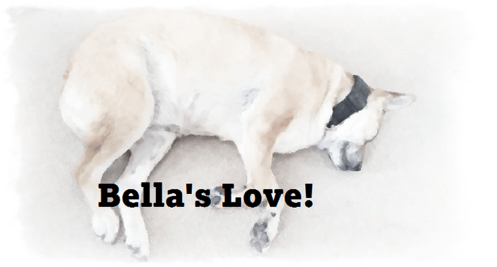 When Bella made it all look fine