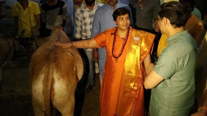 Sadhvi Pragya and Cows – Current Science Proves that Rahul Kanwal and Seculars are mere Lying Quacks