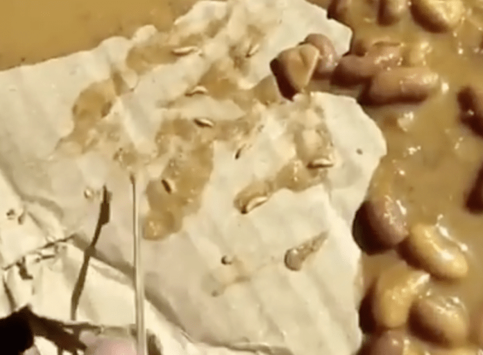 BJP leaders shares a video of meal provided by AAP government in Delhi, accuses them of serving worm-infested food to the poor