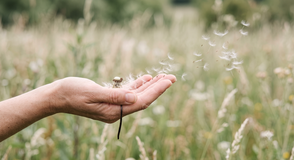 What Letting Go Actually Means