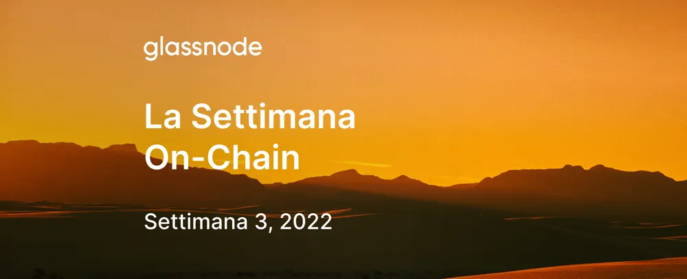 Bulls e Bears si Scontrano