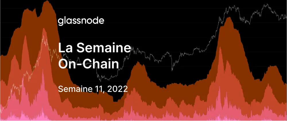 L'offre à Court Terme s’Amenuise