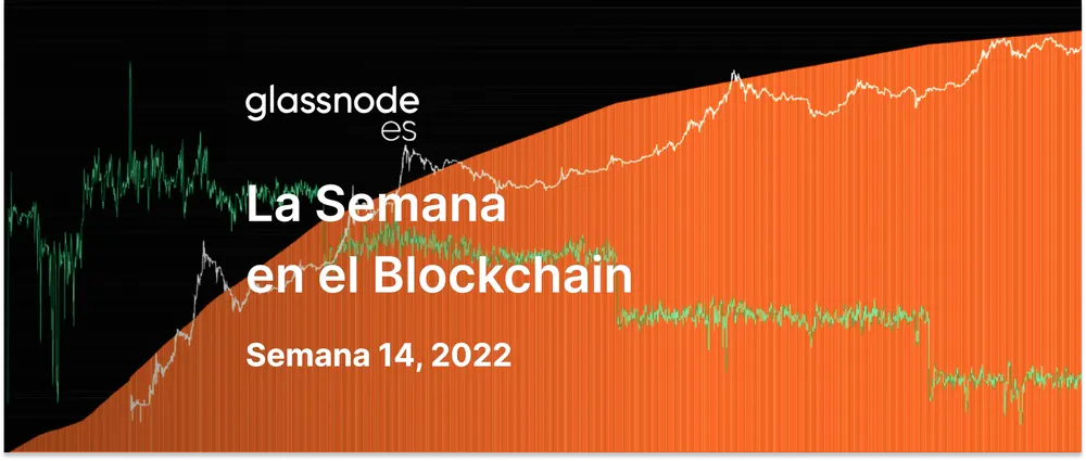 Bitcoin como Colateral Inmaculado